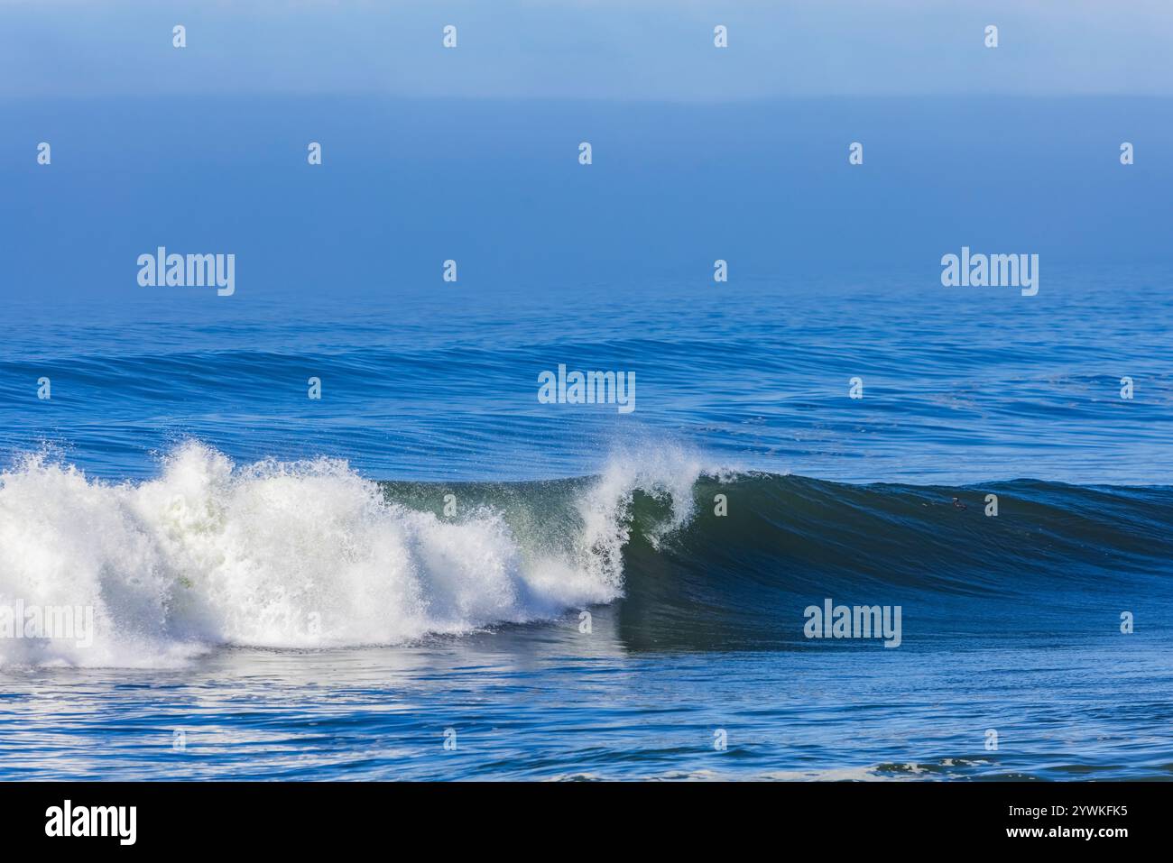 Onde dell'Oceano Pacifico che si infrangono lungo la costa dell'Oregon viste da Strawberry Hill Wayside, Oregon, Stati Uniti Foto Stock