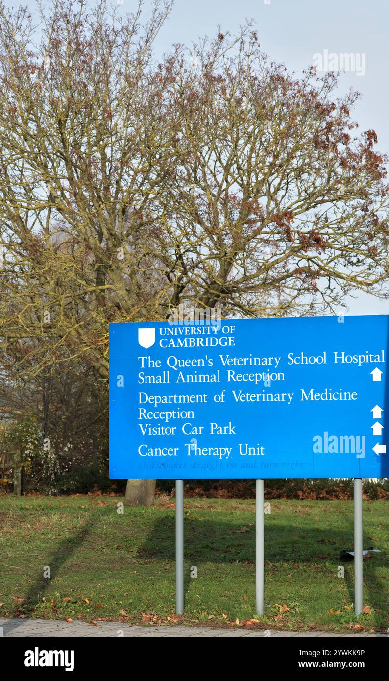 Iscriviti al Queen's Veterinary School Hospital, Small Animal Reception, Department of Veterinary Medicine Reception, Cancer Therapy Unit, Cambridge. Foto Stock