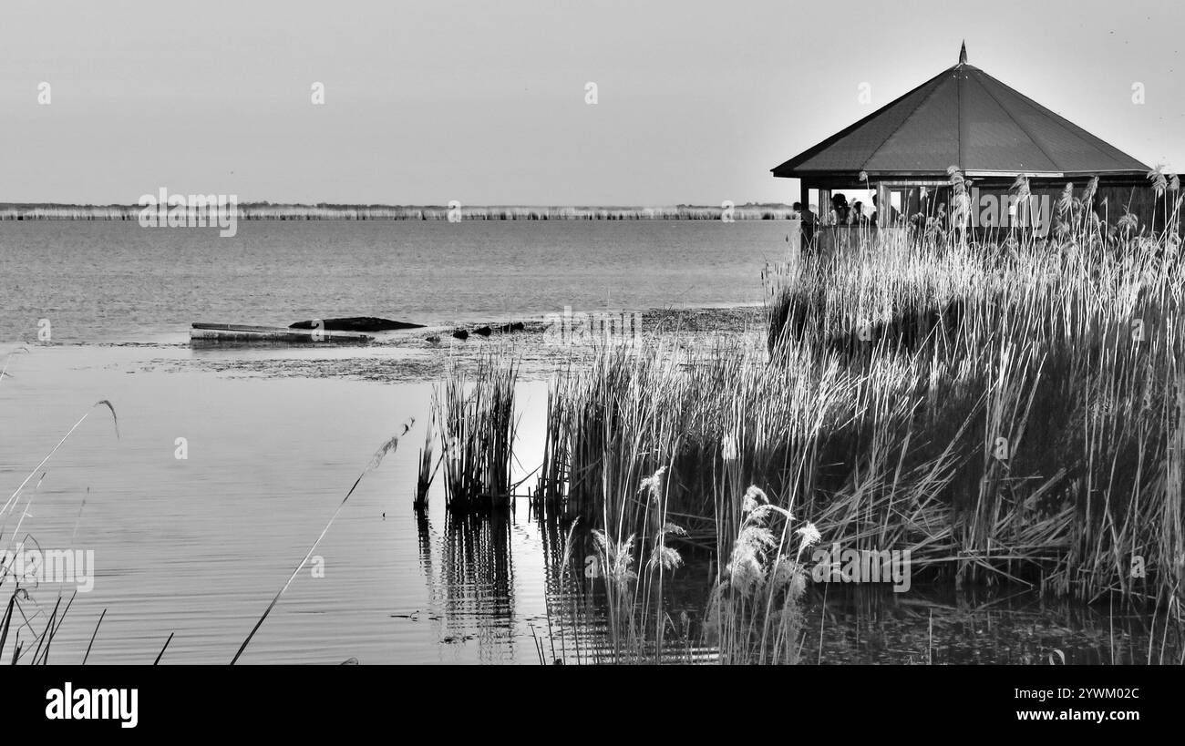 Natura Ungheria Hortobagy Foto Stock