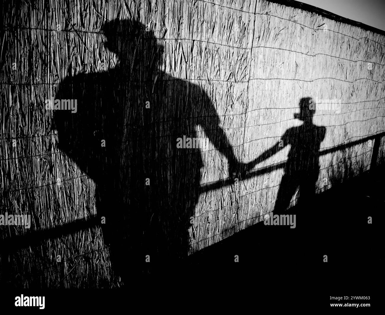 Disegno pattern Foto Stock