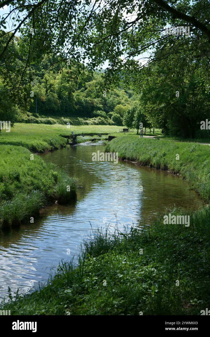 Un ruscello vicino a un lago in aprile Foto Stock