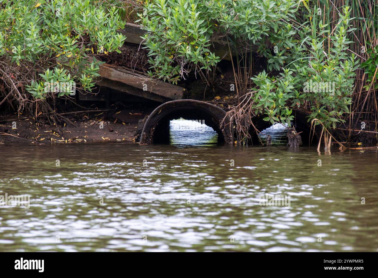 L'acqua scorre attraverso un tubo circondato da una vegetazione lussureggiante sulla riva di un fiume tranquillo. Foto Stock