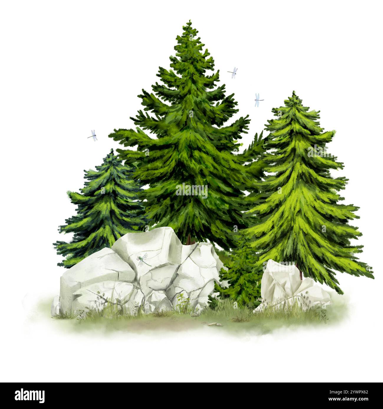 Soffici abeti vicino a un frammento di roccia e massi rocciosi su un prato. Illustrazione digitale acquerello. Ciottoli rotondi e piccoli cespugli nell'erba, è Foto Stock