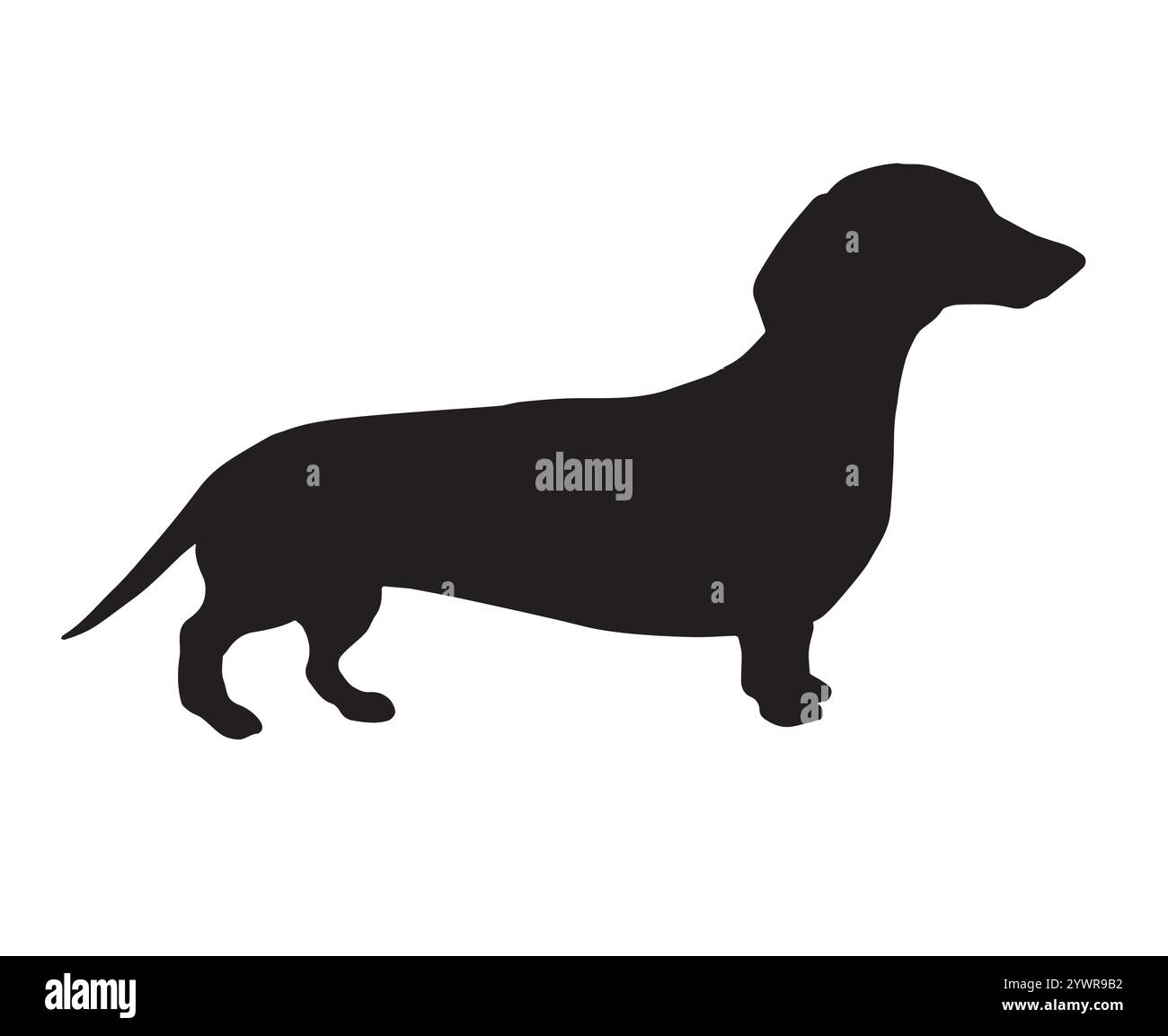 Sagoma del cane Vector Black Dachshund isolata su sfondo bianco Illustrazione Vettoriale
