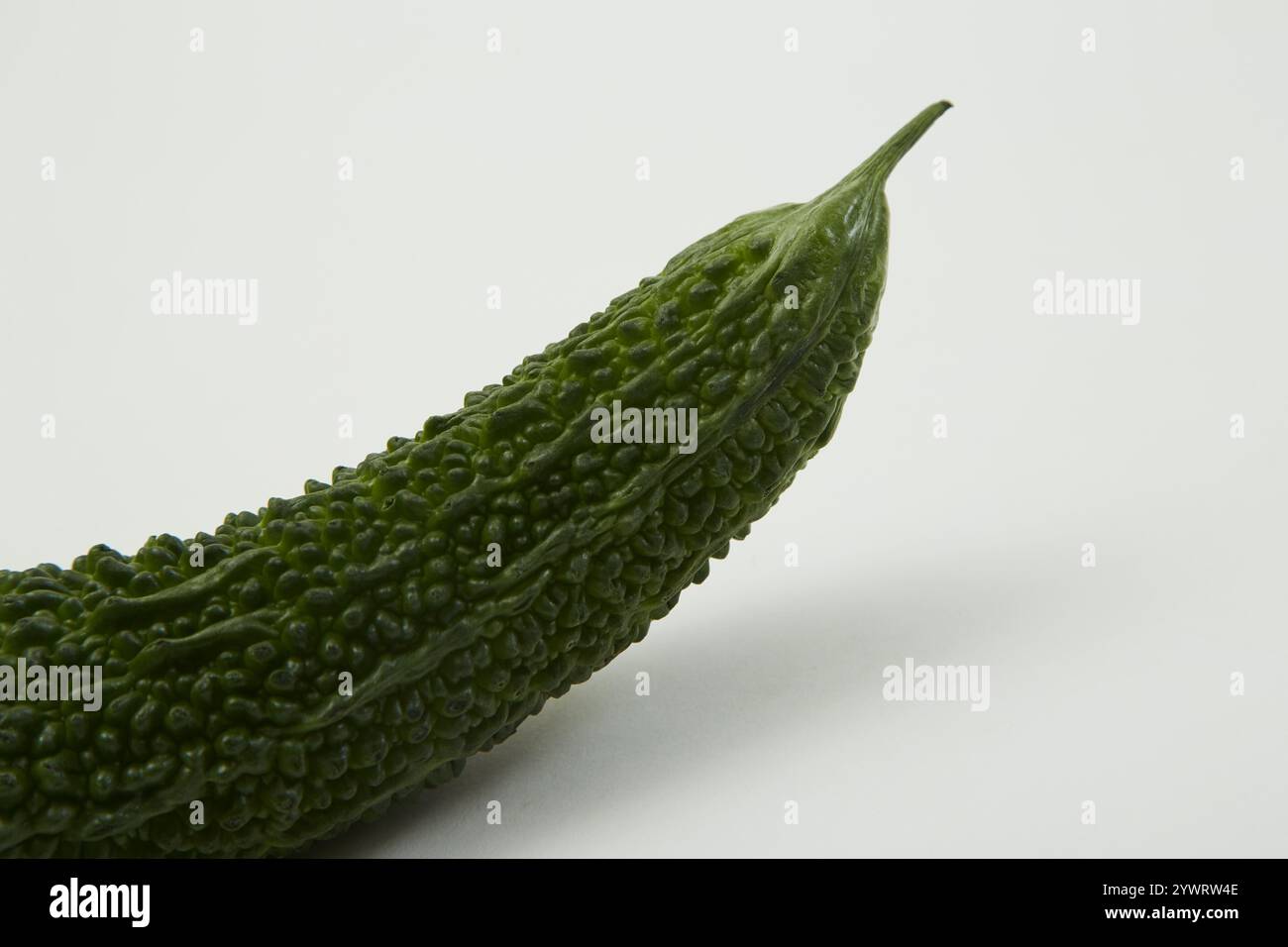 Gourd amaro su sfondo bianco, primo piano Foto Stock