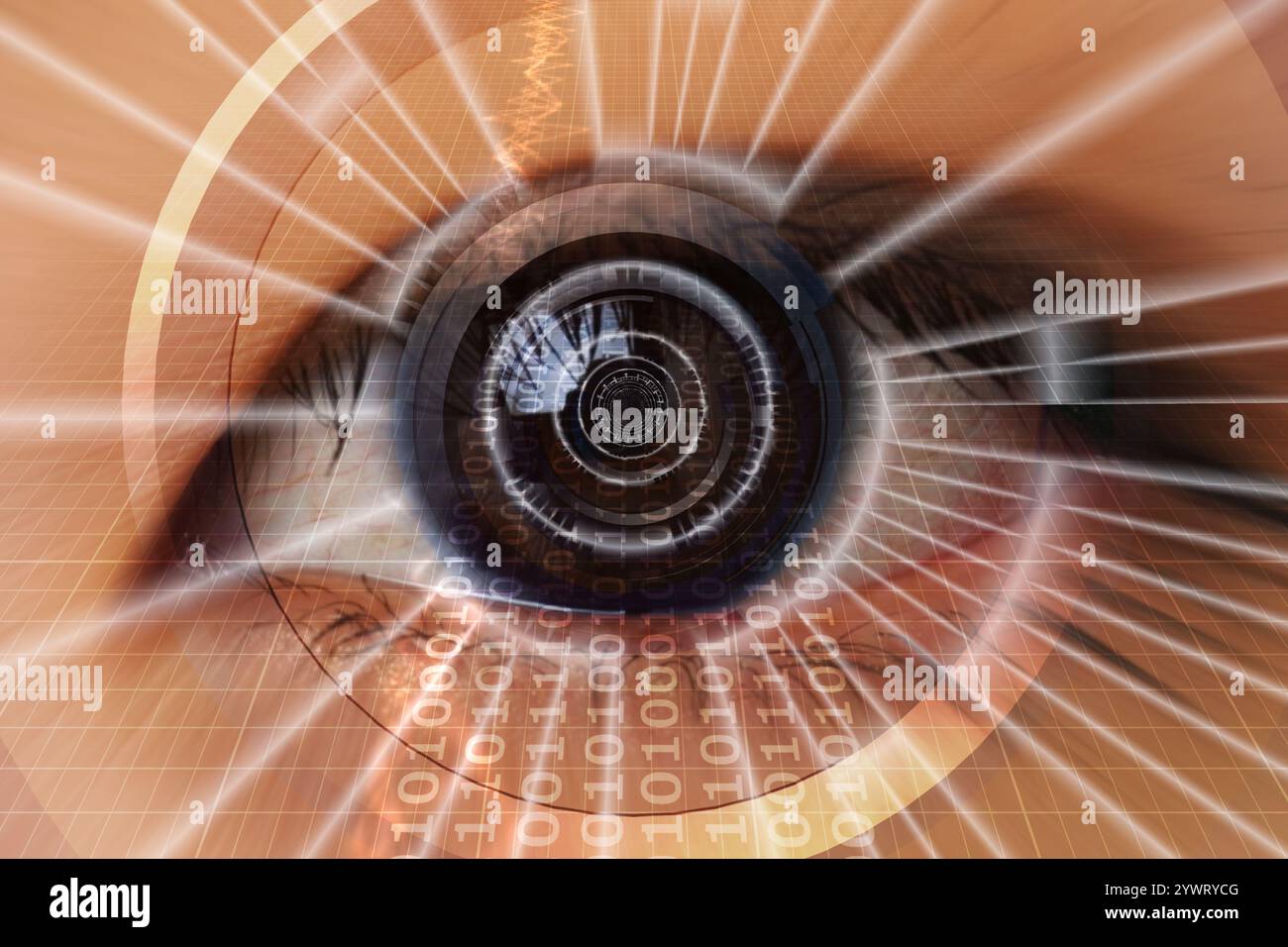 INTELLIGENZA artificiale, deep learning, riconoscimento delle immagini, apprendimento automatico Foto Stock