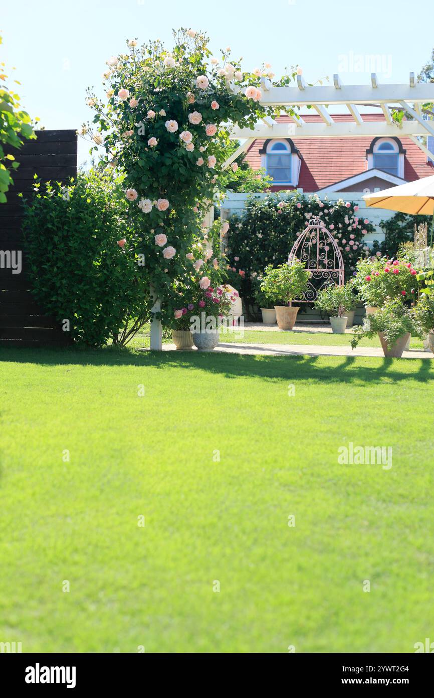Prato e rose sullo sfondo del giardino per la composizione Foto Stock