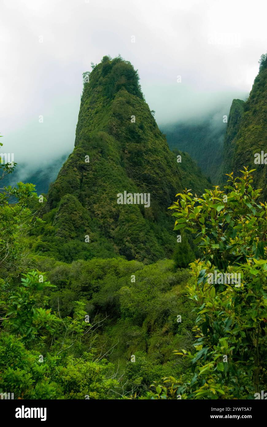 IAO Needle nel parco statale di Iao Valley, Maui, Hawaii Foto Stock
