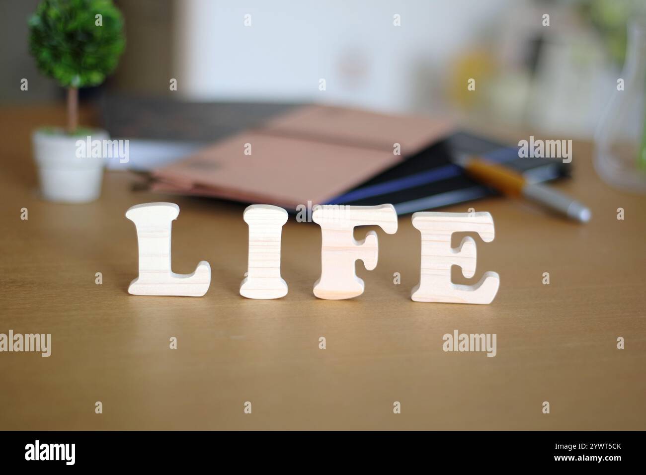Lettere in legno a blocchi VITA sul tavolo Foto Stock