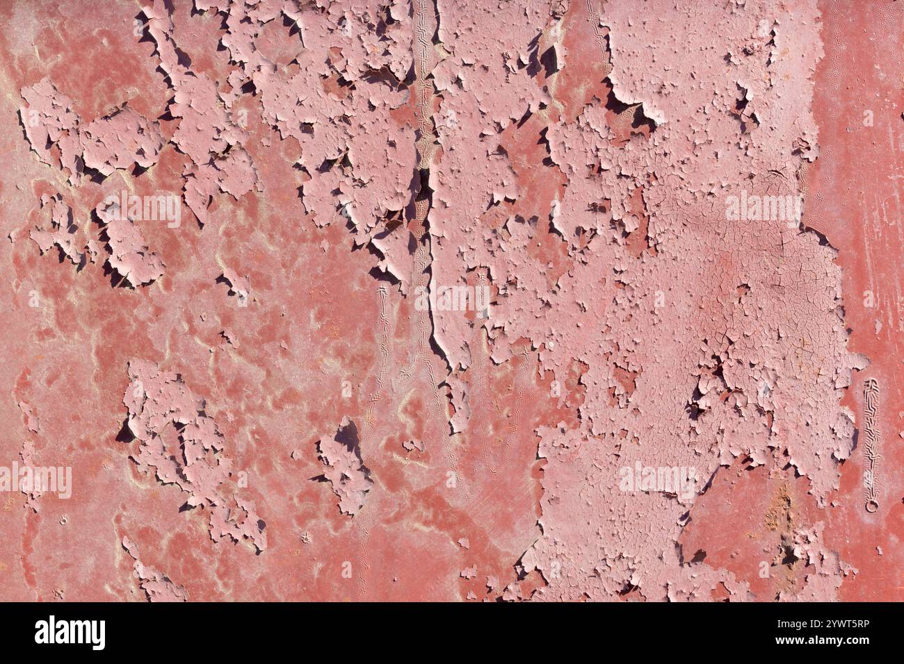 Piastra di ferro arrugginita Foto Stock