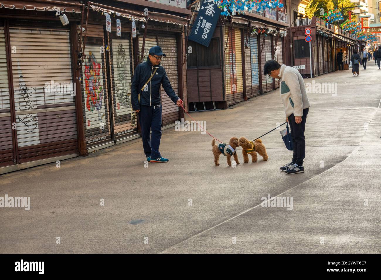 Due camminatori con i loro barboncini si incontrano per strada nel quartiere Asakusa di Tokyo in Giappone Foto Stock