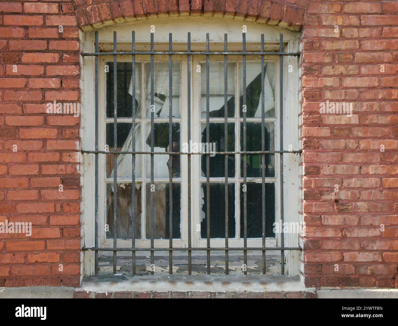 Isolata e ravvicinata vecchia parete di mattoni rossi con finestra di legno bianco. Barre di sicurezza in acciaio nero sull'intera finestra. Tenda strappata. Foto Stock