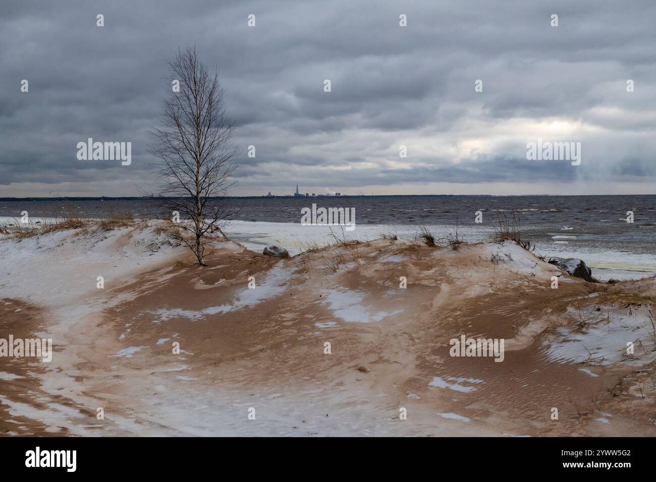 Una triste giornata di dicembre sulle dune costiere del Golfo di Finlandia. Komarovo, distretto di Kurortny. San Pietroburgo, Russia Foto Stock