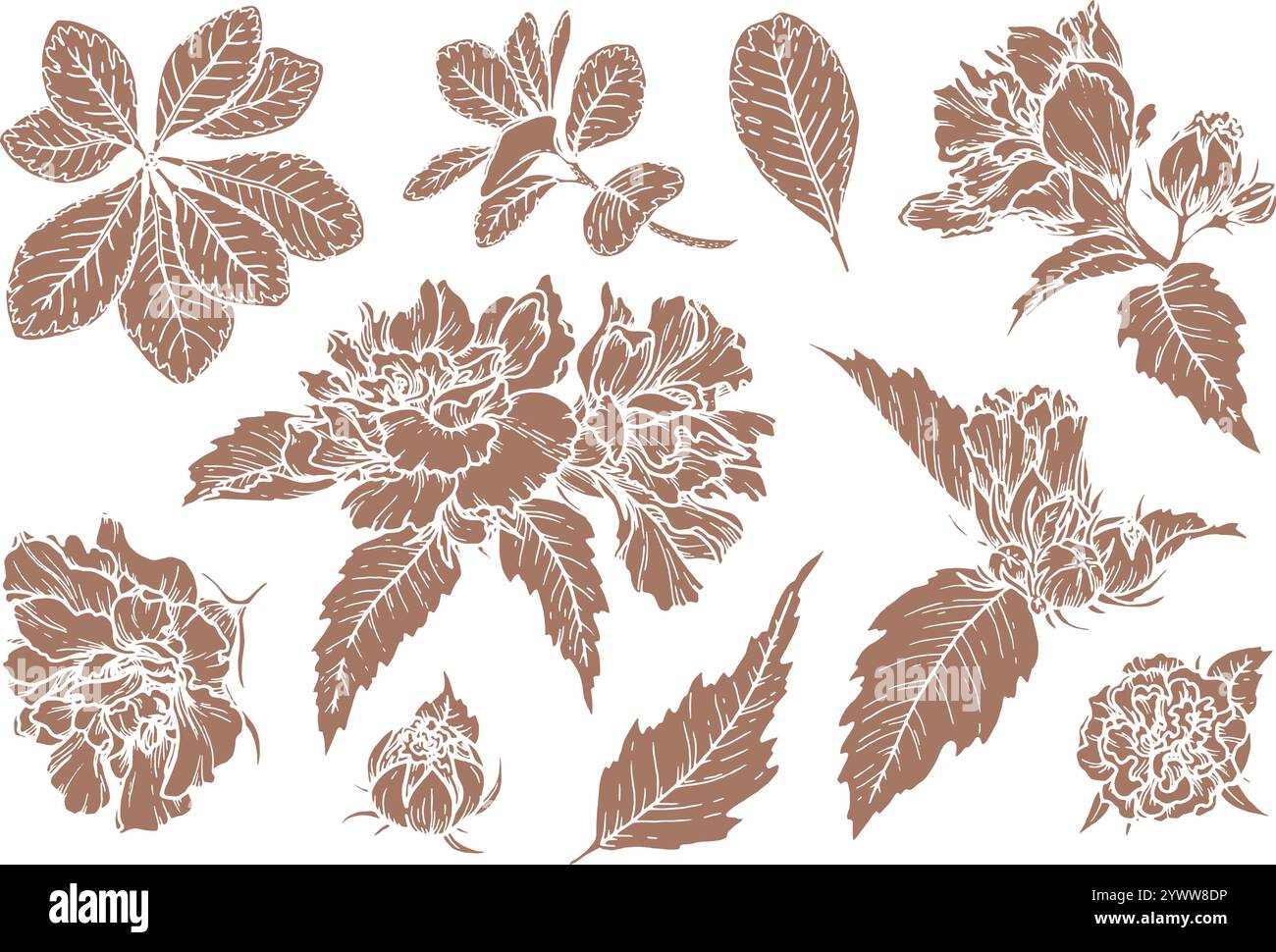 Set di illustrazioni floreali vettoriali con silhouette nel colore 2025 dell'anno Mocha Mousse. Elementi botanici disegnati a mano con tonalità marrone. Perfetto per Illustrazione Vettoriale