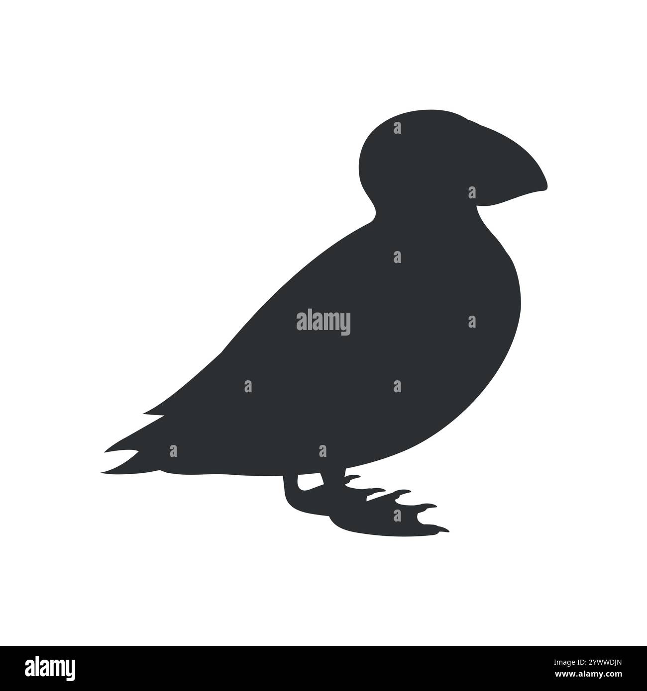 Profilo di uccello di pulcinella atlantica isolato su sfondo bianco. Illustrazione vettoriale Illustrazione Vettoriale