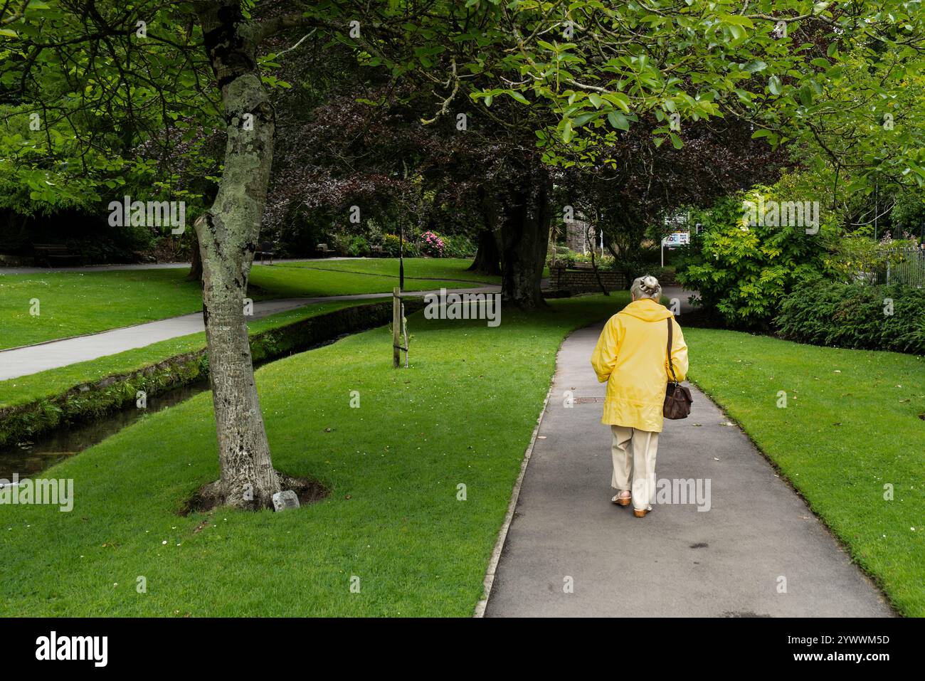 Una signora anziana matura che indossa un cappotto giallo che cammina lungo un sentiero negli storici e premiati Trenance Gardens di Newquay, in Cornovaglia, nel Regno Unito. Foto Stock