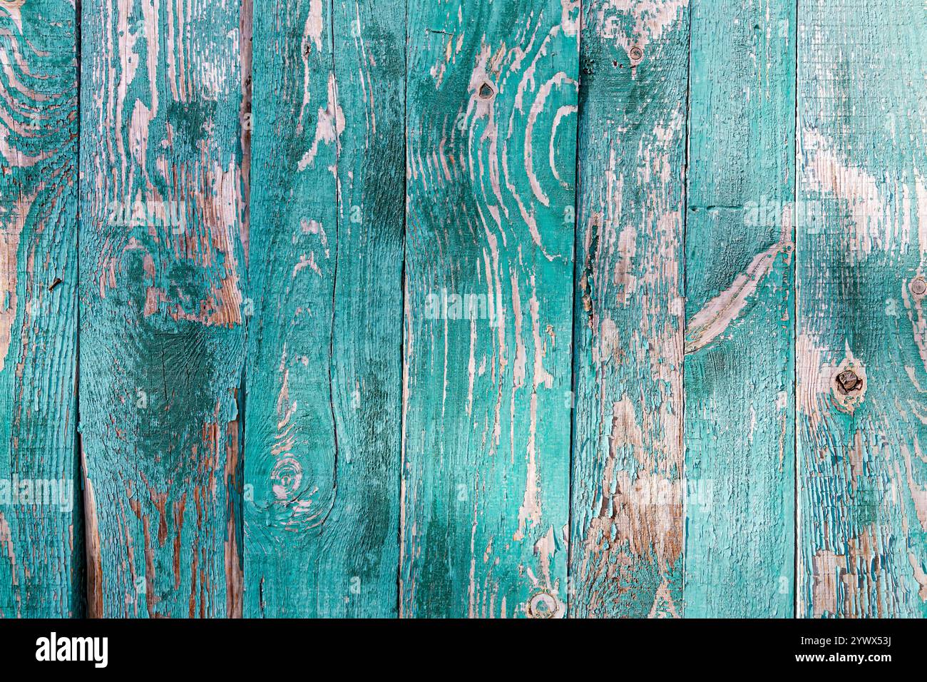 Primo piano di tavole di legno turchese invecchiate con vernice per peeling e grano di legno naturale Foto Stock