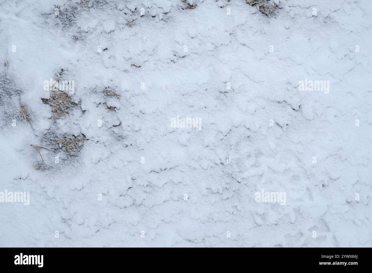 Superficie coperta da un sottile strato di neve a Stoccolma, rivelando macchie di terreno e rocce sottostanti. Foto Stock
