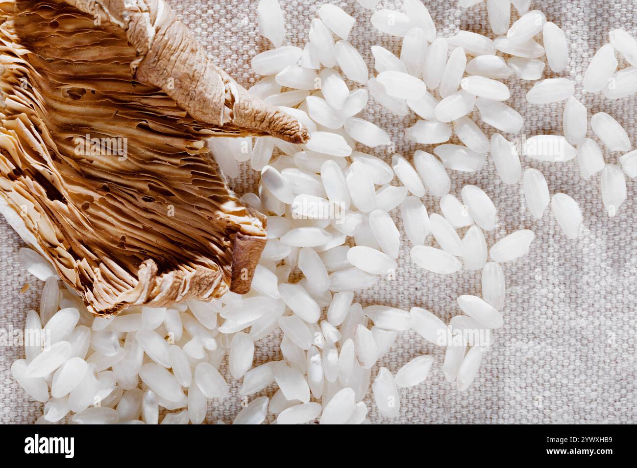Funghi secchi e riso crudo pronti per cucinare il risotto Foto Stock