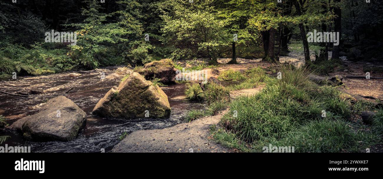 Cascate di Golitha. Un'immagine panoramica del fiume Fowey che scorre attraverso l'antico bosco di Draynes Wood sul Bodmin Moor in Cornovaglia nel Regno Unito. Foto Stock