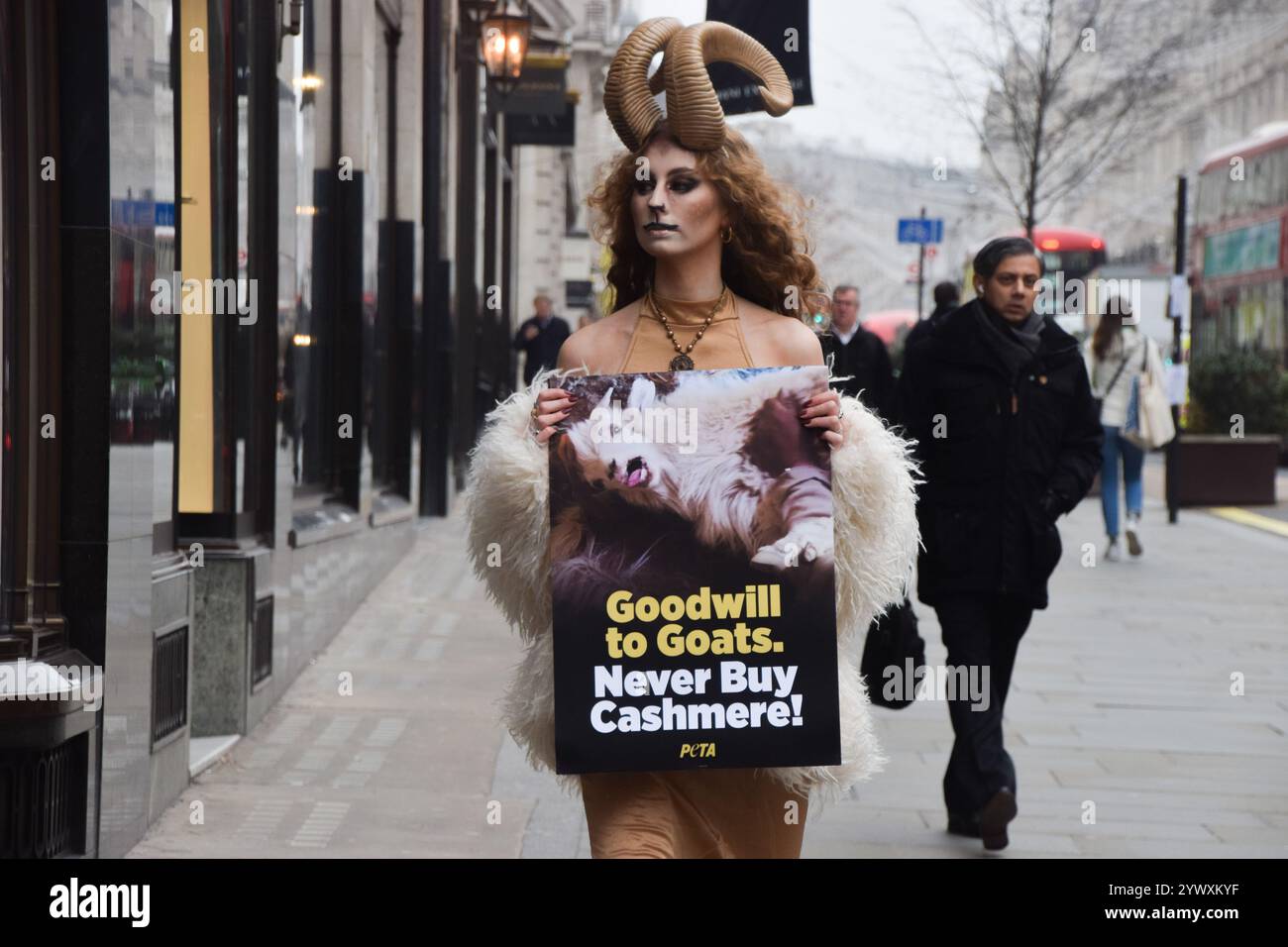 Londra, Regno Unito. 12 dicembre 2024. Un attivista della PETA che indossa le corna e tiene in mano una foto di una capra che si fa strappare i capelli fuori dal negozio Burberry in Regent Street, esortando la gente a non comprare prodotti di cashmere. L'azione fa parte della campagna in corso della PETA contro l'uso del cashmere nell'abbigliamento. Crediti: Vuk Valcic/Alamy Live News Foto Stock