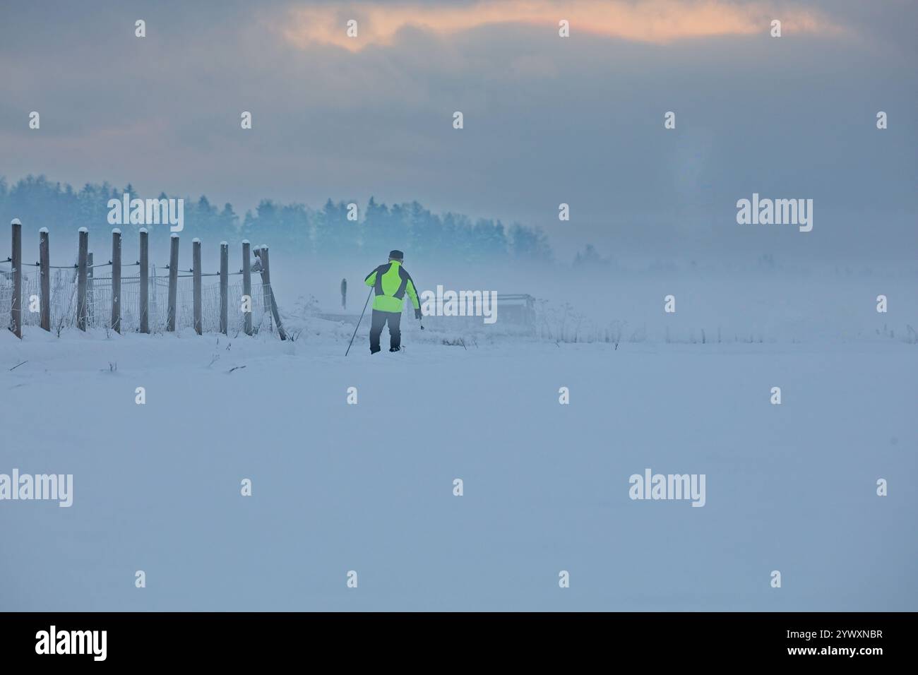 Sci di fondo attraverso il campo invernale con nuvole nel cielo. Foto Stock
