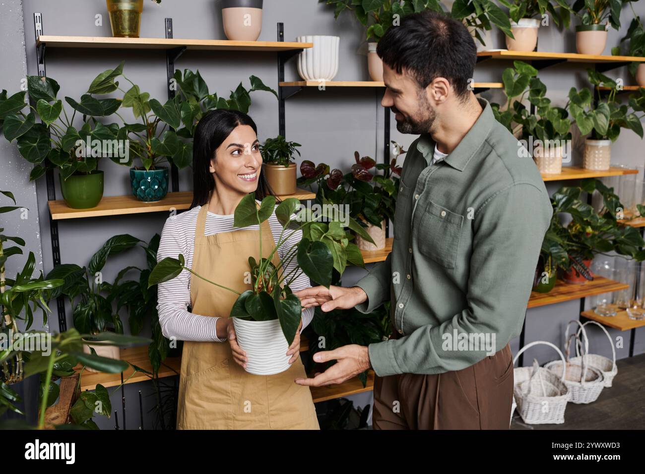 Un fioraio presenta una bella pianta a un cliente maschio mentre discute delle opzioni disponibili. Foto Stock