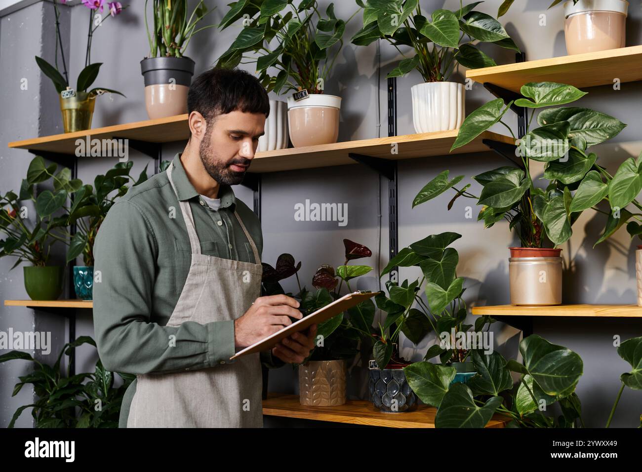 Un fiorista esperto nota i dettagli mentre è circondato da piante lussureggianti nel suo piccolo negozio. Foto Stock