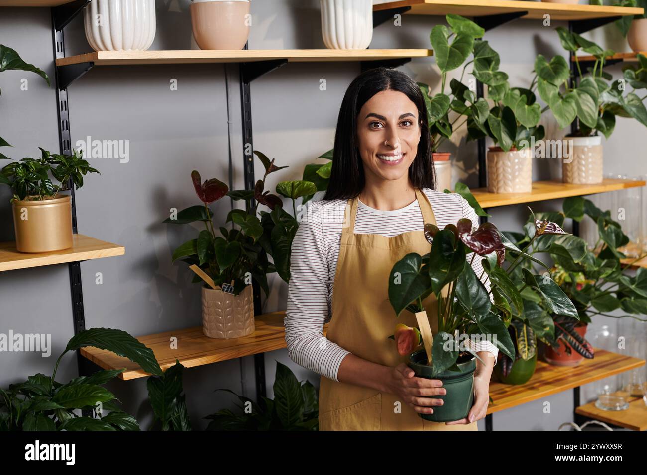 Un fioraio di talento si prende cura delle sue piante colorate, promuovendo ogni giorno sostenibilità e bellezza. Foto Stock