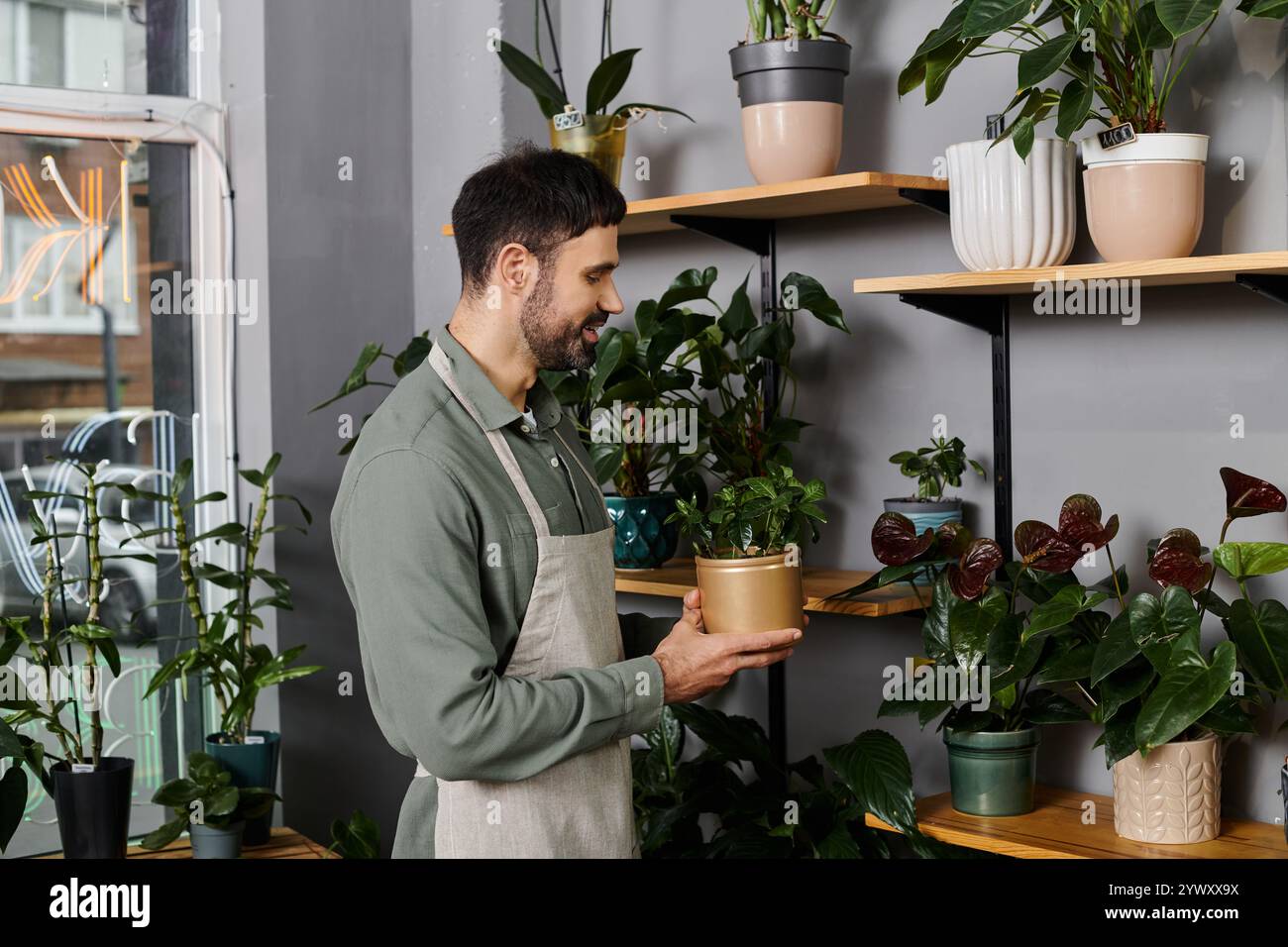 Un fiorista esperto tende a piante vivaci nel suo affascinante negozio di fiori dedicato alla natura. Foto Stock