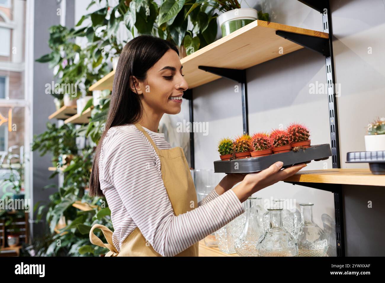 Un'abile proprietaria di un negozio di piante organizza piante colorate nel suo delizioso negozio di fiori. Foto Stock