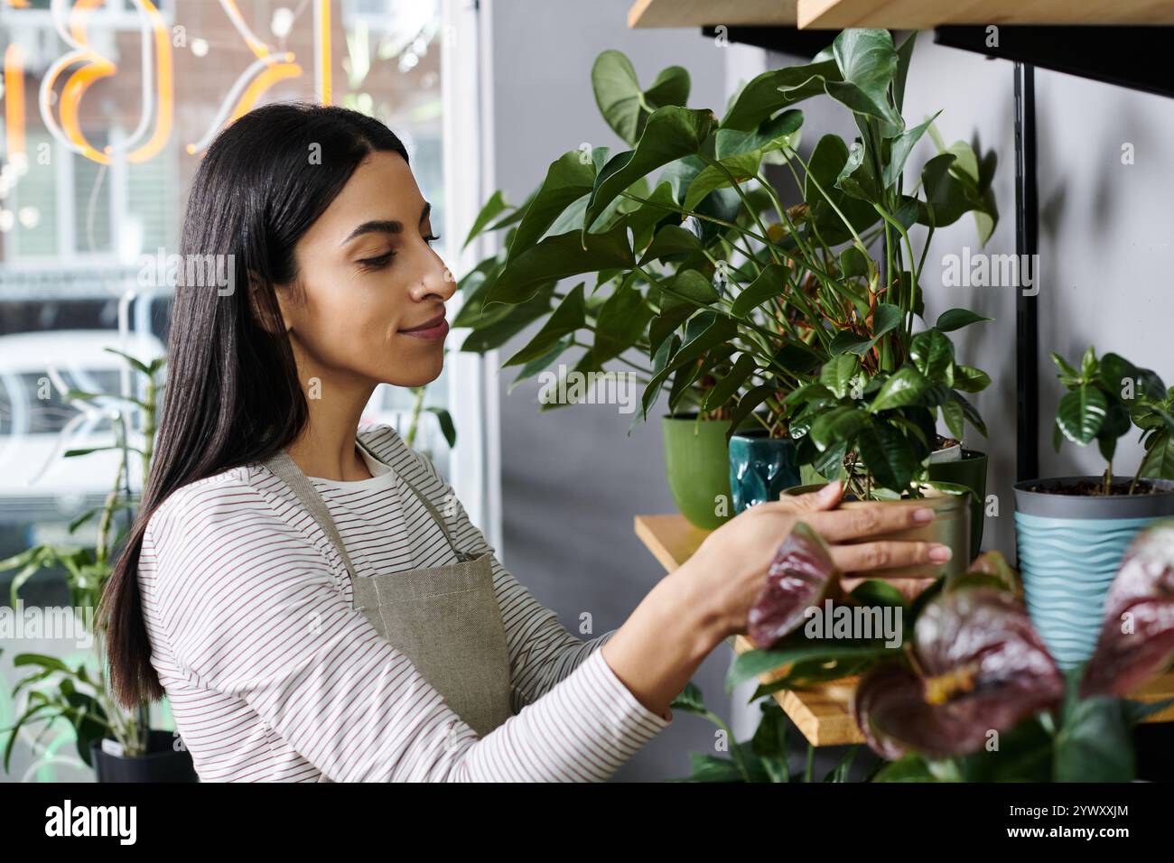 La fiorista Bruna tende a piantare nel suo accogliente negozio, mostrando la sua passione per la flora. Foto Stock