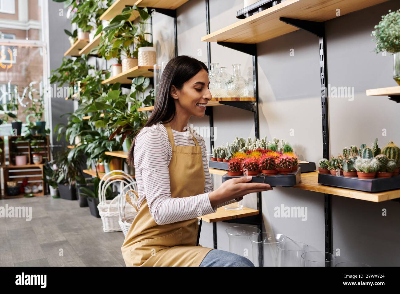 La proprietaria di un negozio di piante sorridente posiziona con cura i cactus colorati su uno scaffale nel suo accogliente negozio. Foto Stock