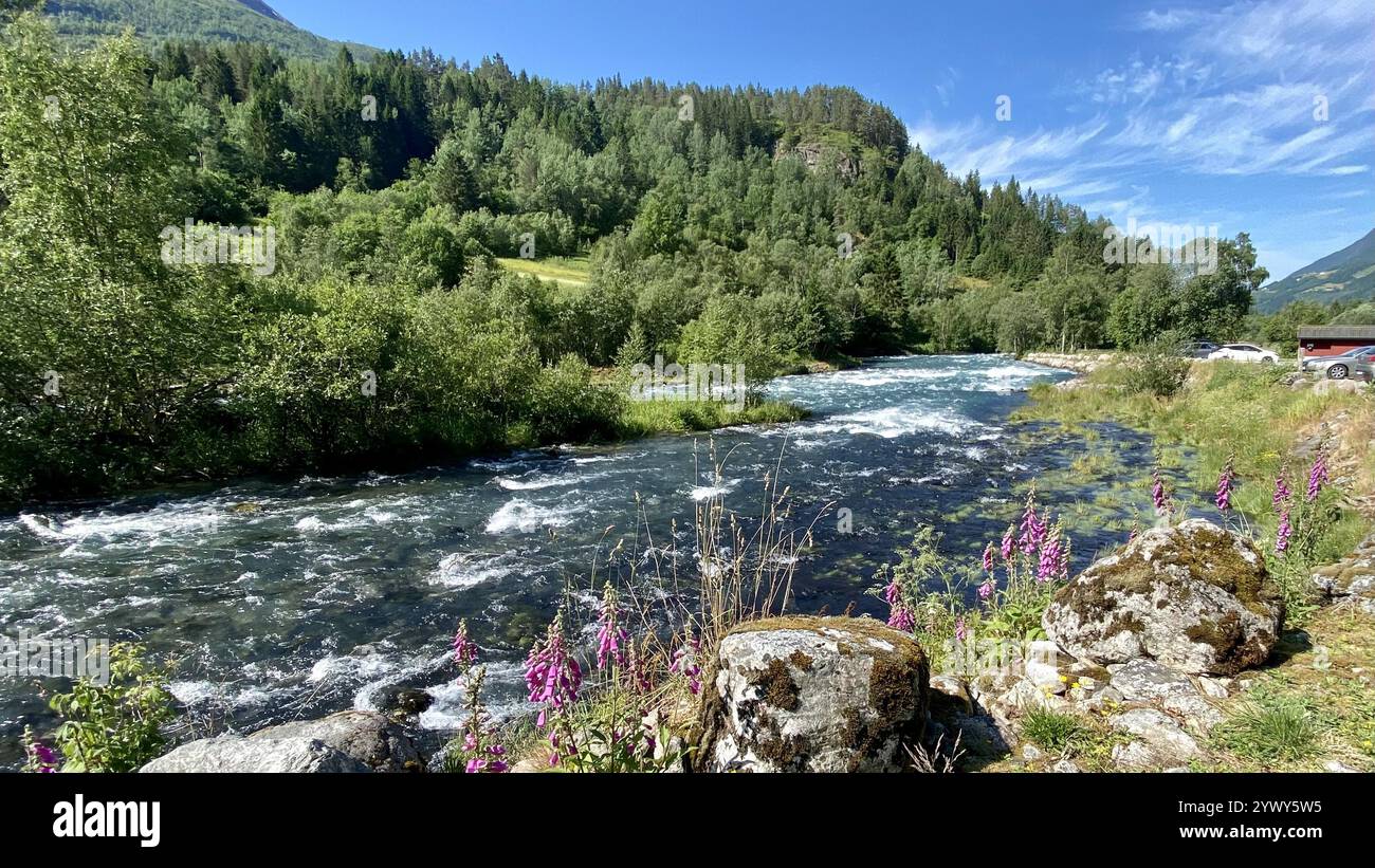 Fiume che scorre in una splendida natura Foto Stock