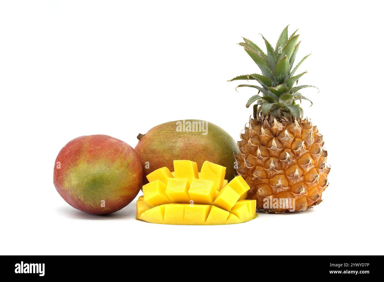 Una splendida disposizione di frutta tropicale colorata, tra cui mango e ananas, perfetta per temi di stile di vita fresco e sano. Foto Stock