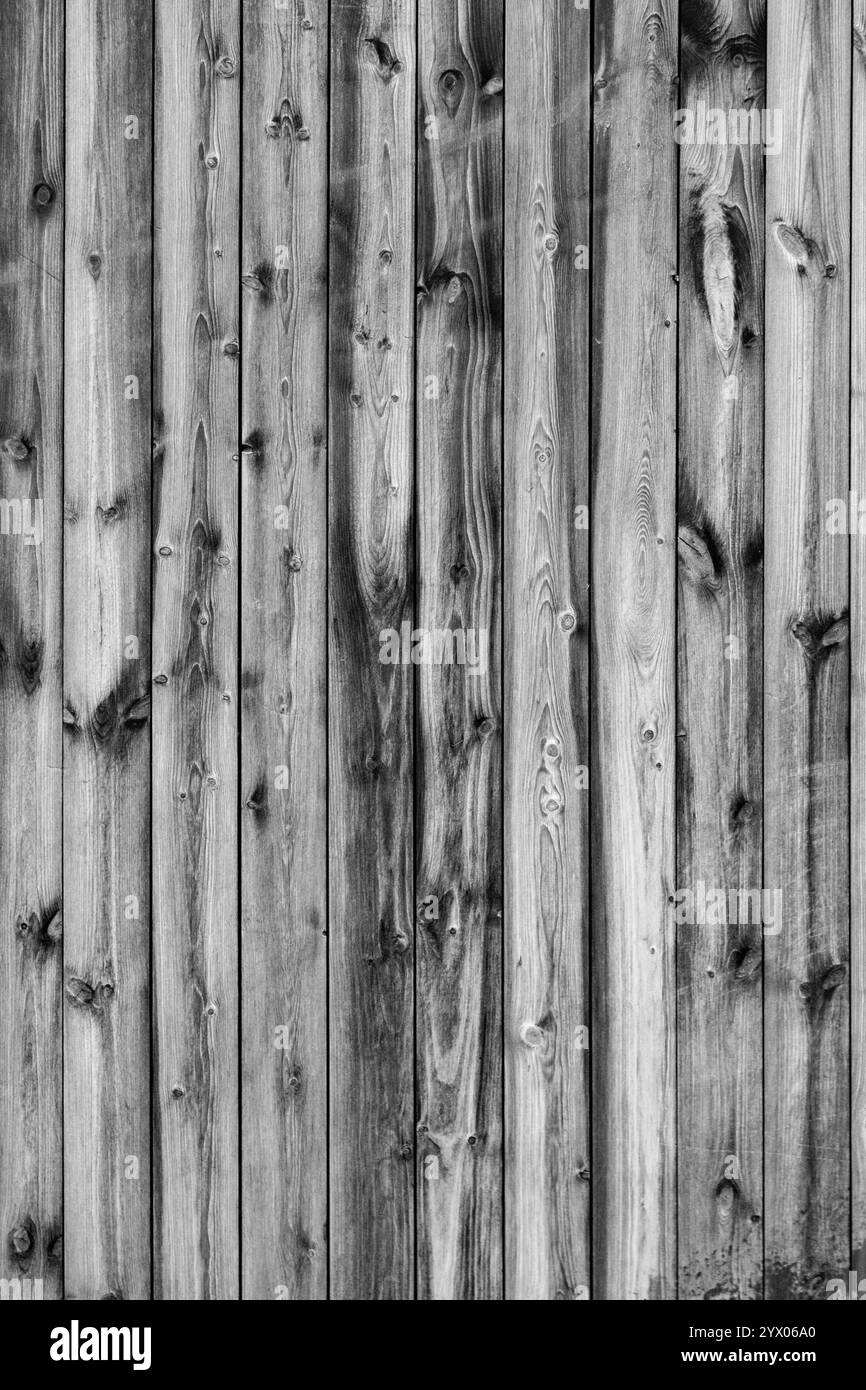 Parete con pannelli in legno intemperiato, sfondo con texture grunge Foto Stock