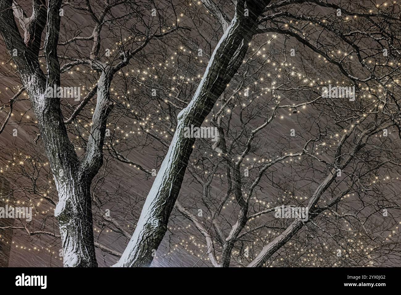 Effetto lago che soffia la neve contro i treet Street sulla Main Street di Ann Arbor, Michigan, Stati Uniti Foto Stock