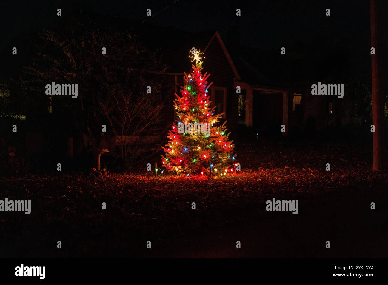 Illuminazione colorata dell'albero di Natale in un ambiente all'aperto notte buia Foto Stock
