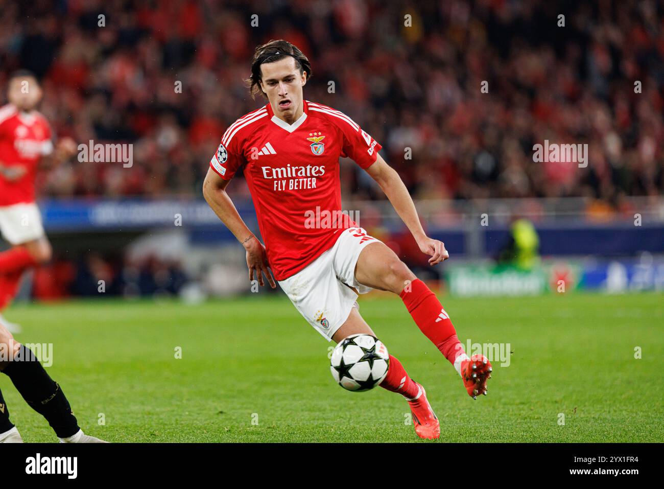 Alvaro Carreras visto durante la partita di UEFA Champions League tra le squadre del Benfica e del Bologna FC 1909 (Maciej Rogowski) Foto Stock