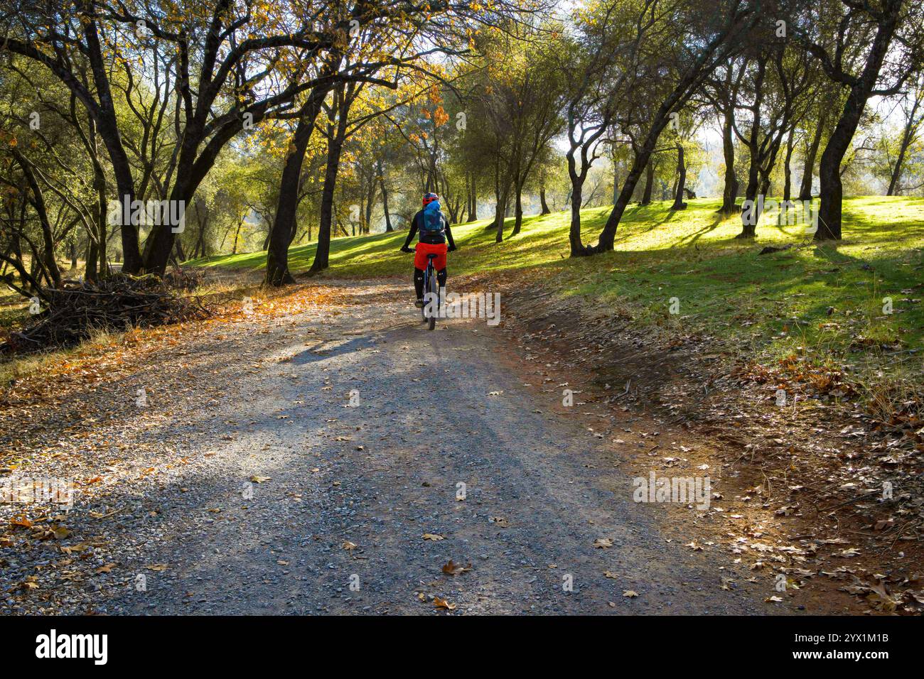 Foto di un ciclista su un sentiero di ghiaia alberato al Hidden Falls Regional Park, ai piedi della Sierra Nevada. Foto Stock