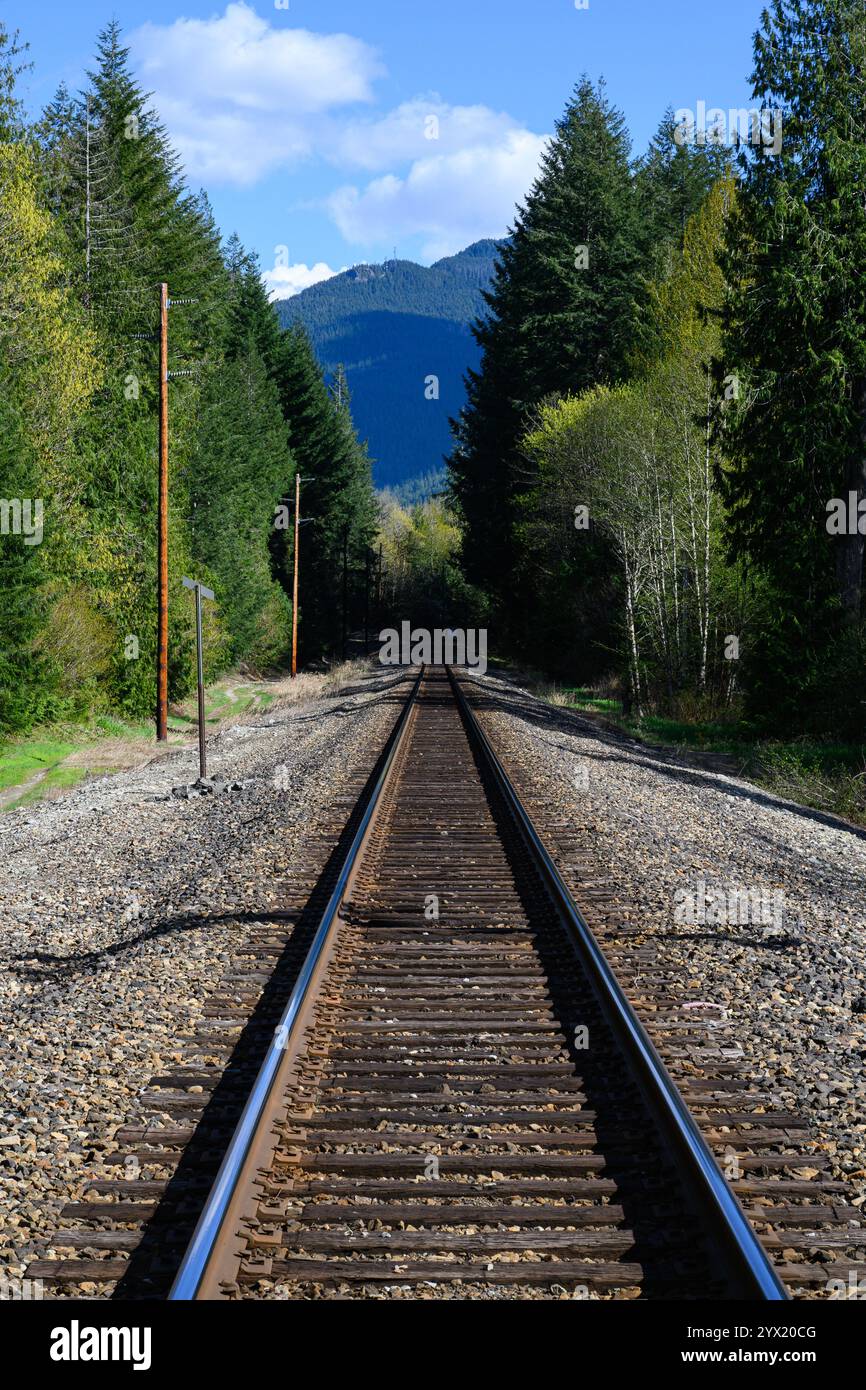 Binario ferroviario che conduce in linea retta alle verdi montagne del Nord-ovest Pacifico Foto Stock