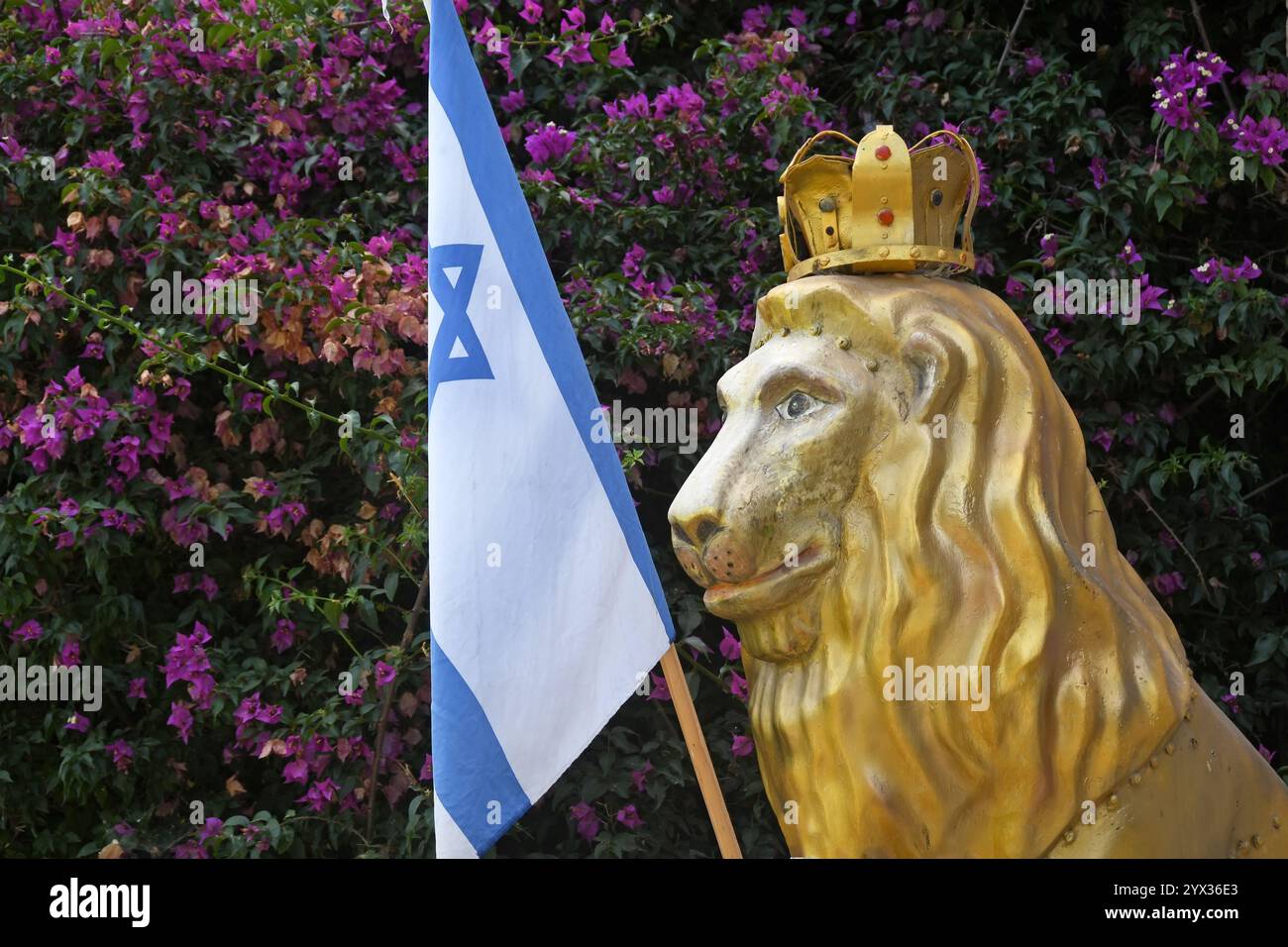 Leone a Gerusalemme, Israele Foto Stock