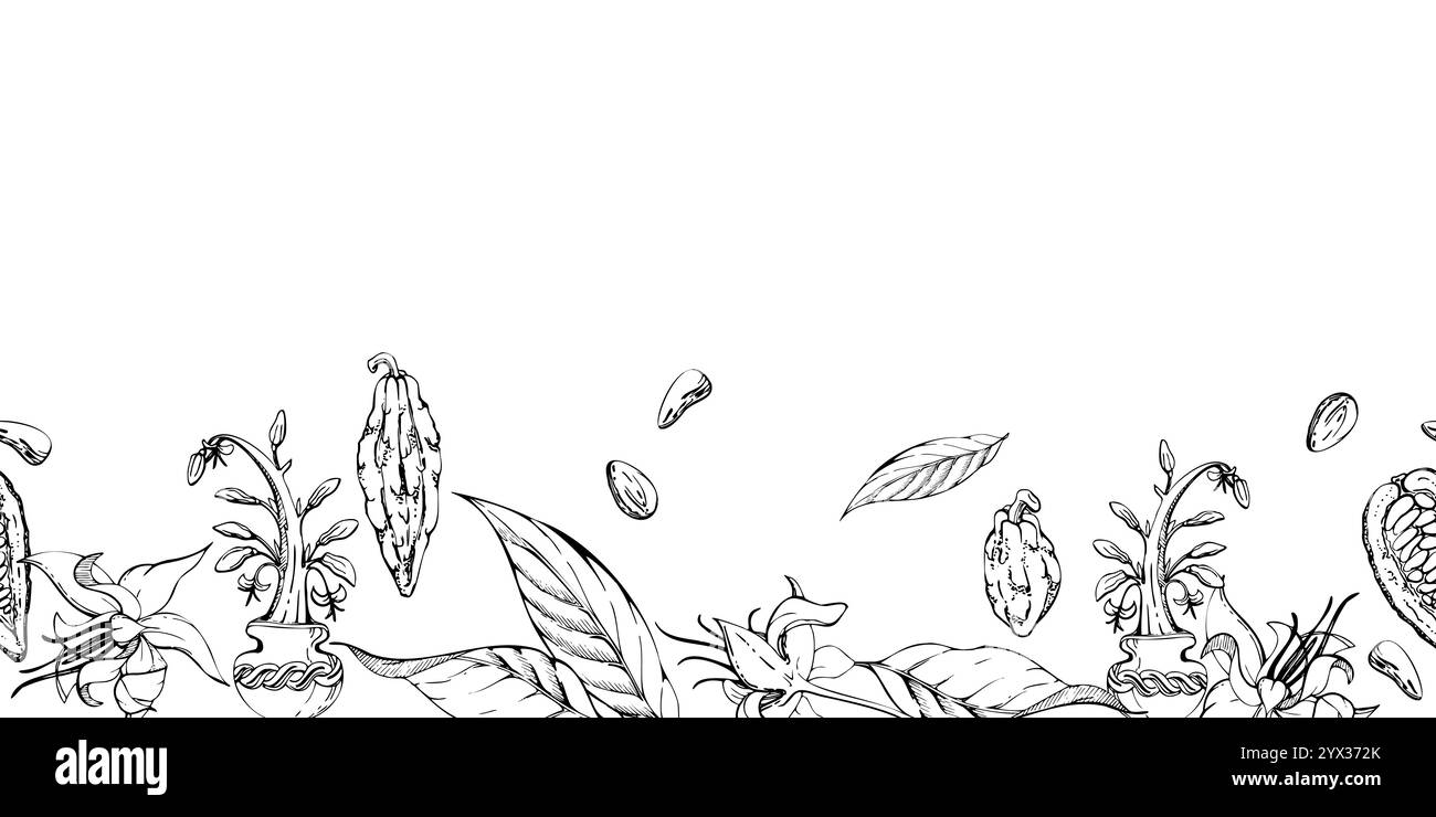 Caffè cacao chicchi di cacao, fiori, foglie cialde di semi, albero stilizzato. Stabilimento Maya azteco messicano. Illustrazione del vettore di inchiostro disegnato a mano. Banner senza interruzioni Illustrazione Vettoriale