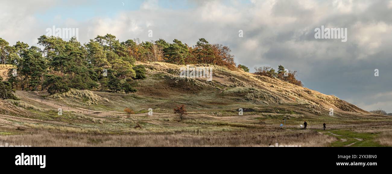 Riserva naturale di dune interne nei pressi di Klein Schmölen, la più grande duna interna d'Europa, Meclemburgo-Pomerania Occidentale, Germania Foto Stock