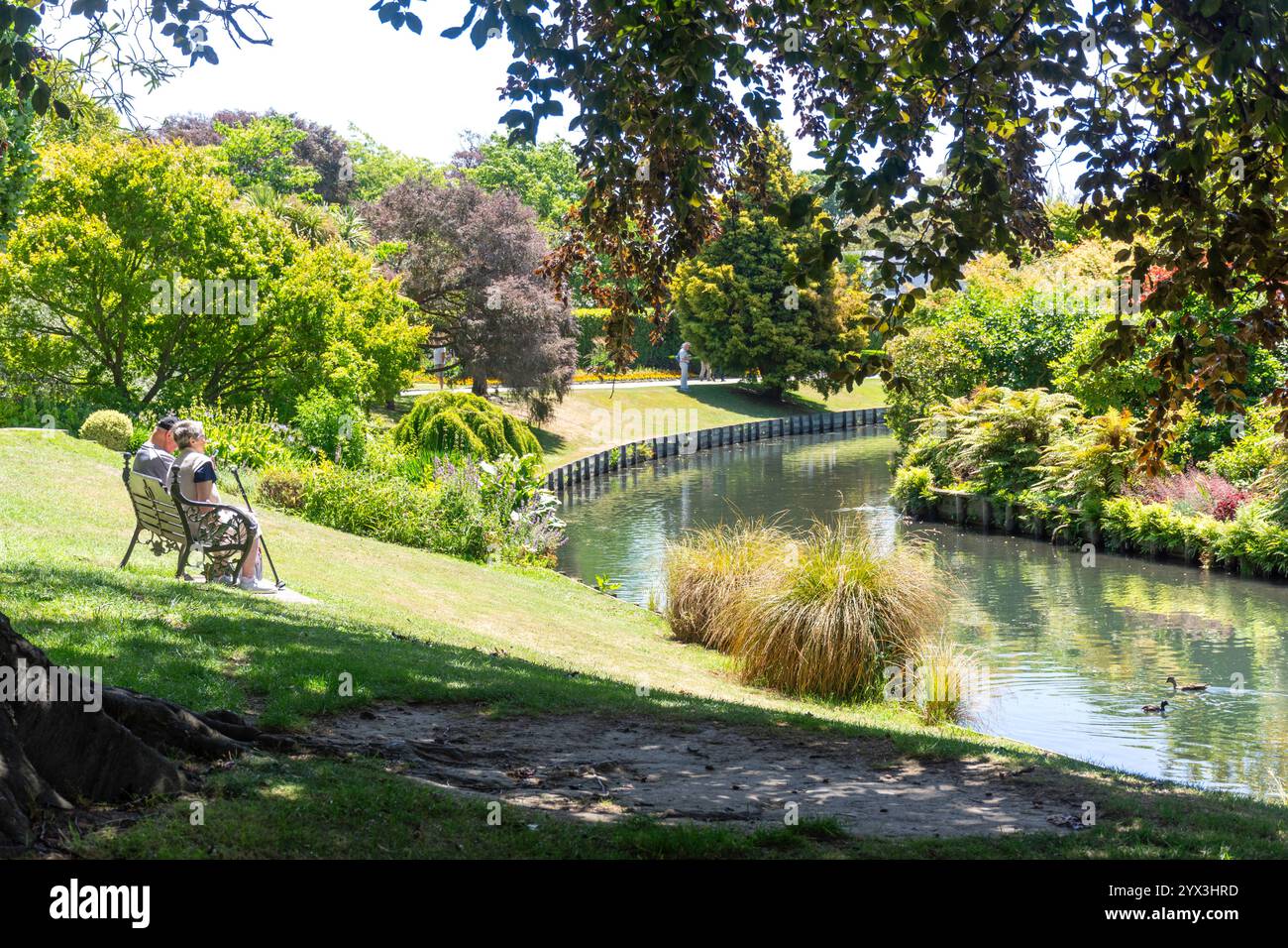 River Avon, Mona vale Garden Park, Riccarton, Christchurch (Ōtautahi), Canterbury, nuova Zelanda Foto Stock