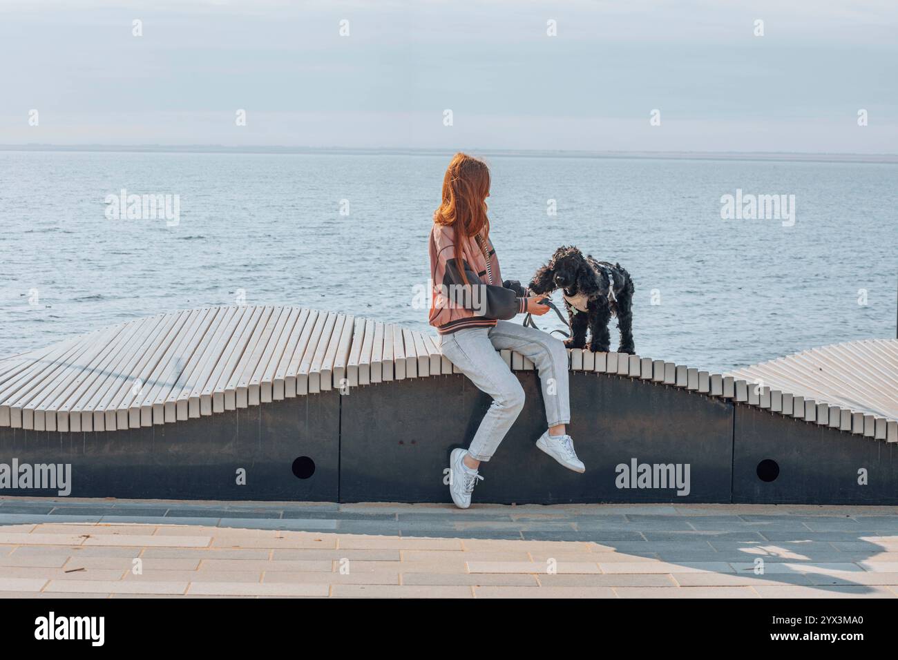 Rilassati in campagna, in camere in cui sono ammessi gli animali domestici, fuggi con la pelosità Foto Stock