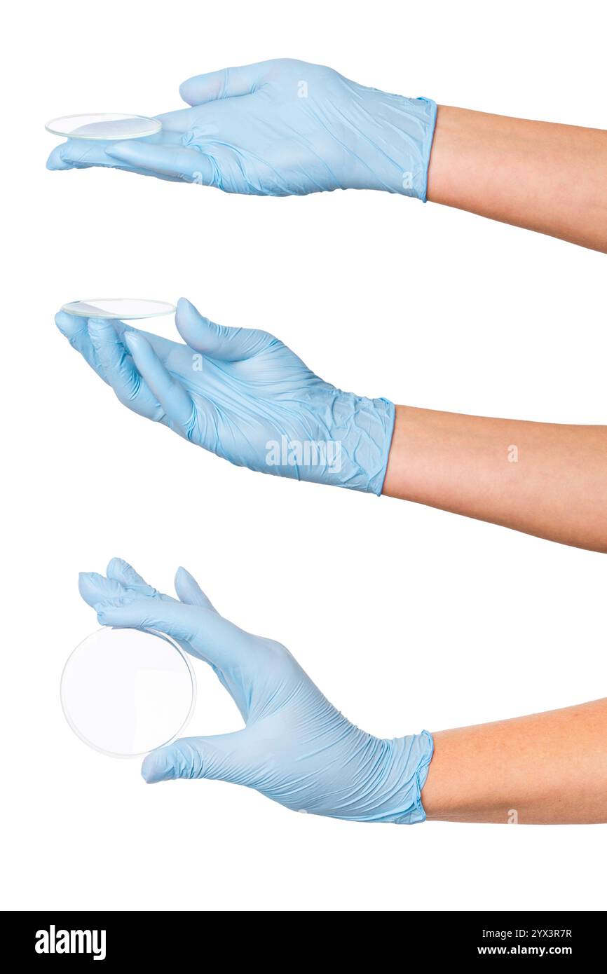 Set di mani in guanti per uso medico con una piastra Petri vuota su uno sfondo vuoto. Uso in laboratorio, microbiologia, ricerca scientifica. Foto Stock