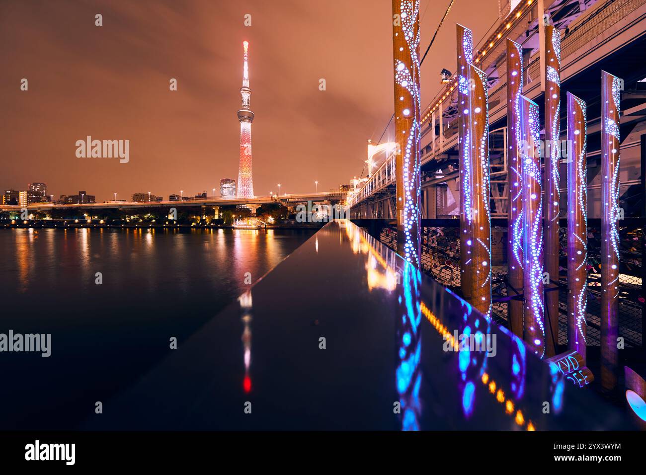 Tokyo, Giappone - 26 novembre 2024: Veduta notturna del fiume Sumida. Foto Stock