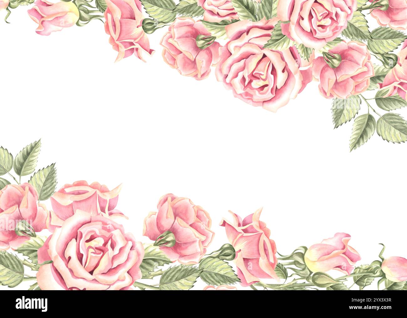 Rose rosa con gemme e foglie verdi. Modello da cartolina per fiori primaverili. Cornice con spazio di copia. Illustrazione ad acquerello disegnata a mano isolata Foto Stock