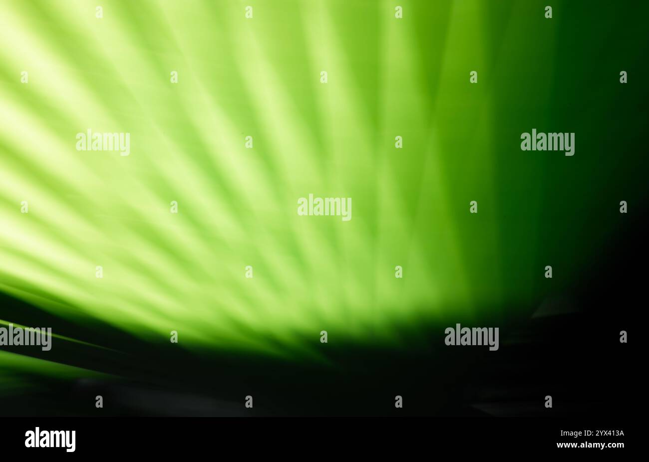 Arte astratta a lunga esposizione. Fotografia con movimento della fotocamera. Linee sfocate di piante naturali. Paesaggio irreale. Foto Stock